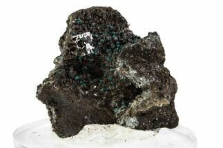 Teal Blue Rosasite and Goethite with Hemimorphite - Mexico #372783