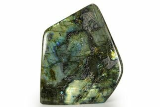 Flashy Free-Standing Polished Labradorite - Madagascar #372734