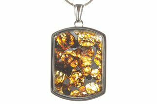 Sericho Pallasite Dog Tag Meteorite Pendant - Kenya #373088