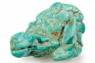Polished Chilean Turquoise ( grams) Nugget #373194