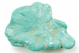Polished Chilean Turquoise ( grams) Nugget #373284