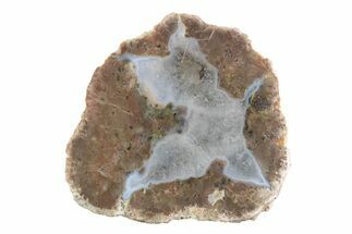 Polished Mexican Thunderegg Half #373358