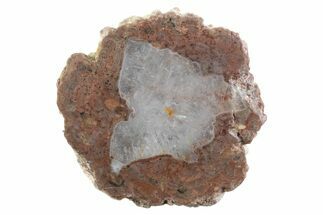 Polished Mexican Thunderegg Half #373360