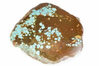 Polished Turquoise Section - Number Mine, Carlin, NV #373127