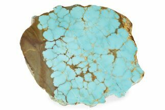 Polished Turquoise Section - Number Mine, Carlin, NV #373134