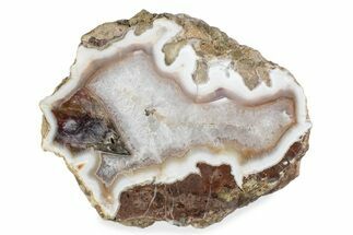 Polished Banded Agate Nodule Half - Wiley's Well, California #373388