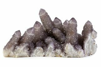 Sparkling Smoky Amethyst Cactus Crystal Cluster - South Africa #373460