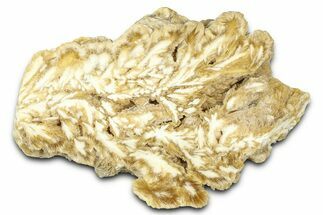 Polished Barite Slab - Lubin Mine, Poland #373545