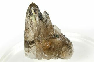 Black Aegirine Crystals on Smoky Quartz - Malawi #373573