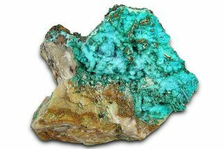 Conichalcite with Vibrant Chrysocolla - Namibia #373604