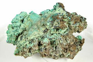 Vibrant Green Conichalcite with Chryscolla - Namibia #373630