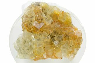 Gemmy Yellow Fluorite Cluster - Spain #374139
