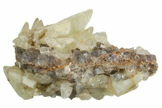 Pale Yellow Dogtooth Calcite Crystal Cluster - Pakistan #251685
