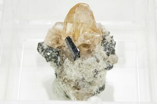 Lustrous Champagne-Pink Topaz Crystal with Bixbyite - Utah #374563