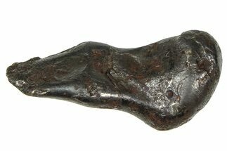 Fusion Crusted Sikhote-Alin Iron Meteorite ( g) - Russia #375322
