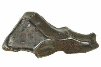 Fusion Crusted Sikhote-Alin Iron Meteorite ( g) - Russia #375329