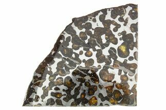 Sericho Pallasite Meteorite ( g) Slice - Kenya #375600