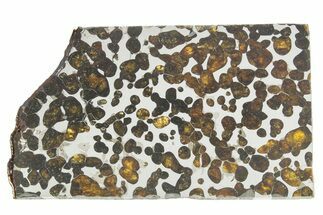 Sericho Pallasite Meteorite ( g) Slice - Kenya #375617