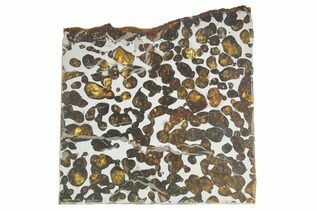Pallasites For Sale