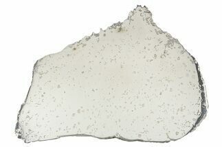 Large, Gleaming Dronino Iron Meteorite Slice ( g) - Russia #375631