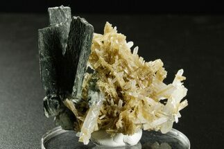 Clinozoisite and Hedenbergite? on Quartz - Peru (New Find) #375588