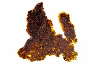 Polished Diogenite Meteorite ( g) Slice - NWA #375703