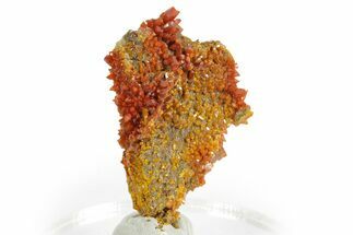 Colorful Red-Orange Vanadinite Crystals - Western Mine, Arizona #375663
