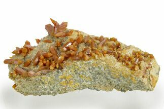 Vibrant Red-Orange Vanadinite Crystals - Western Mine, Arizona #375686