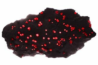 Plate of + Red Embers Garnets in Graphite - Massachusetts #375770