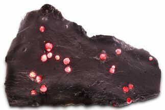 Plate of + Red Embers Garnets in Graphite - Massachusetts #375771