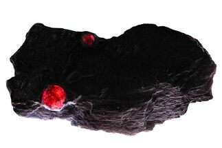 Plate of Two Red Embers Garnets in Graphite - Massachusetts #375778