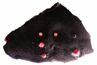 Plate of Six Red Embers Garnets in Graphite - Massachusetts #375780