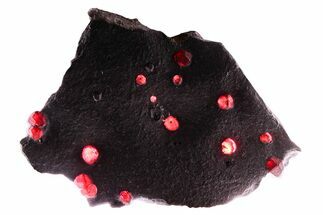 Plate of + Red Embers Garnets in Graphite - Massachusetts #375795