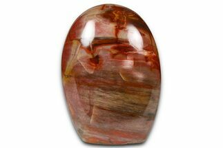 Free-Standing, Polished Petrified Wood - Madagascar #376095