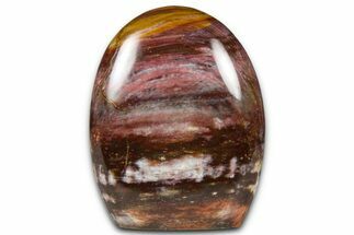 Free-Standing, Polished Petrified Wood - Madagascar #376100