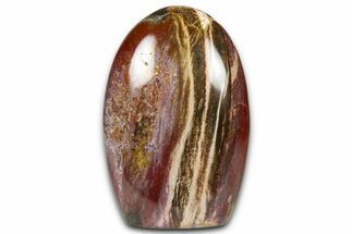 Free-Standing, Polished Petrified Wood - Madagascar #376105