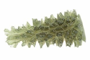 Tektites & Impactites For Sale