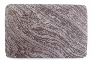 Polished, Neoproterozoic Stromatolite (Conophyton) - Morocco #377231