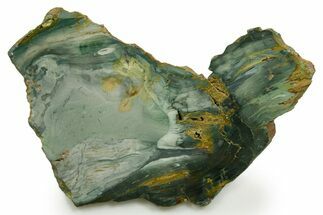 Gary Green Jasper (Larsonite) Bog Wood Slab - Oregon #377735