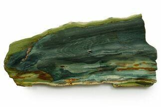 Gary Green Jasper (Larsonite) Bog Wood Slab - Oregon #377741