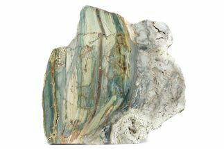 Freestanding Gary Green Jasper (Larsonite) Bog Wood - Oregon #377805