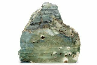 Freestanding Gary Green Jasper (Larsonite) Bog Wood - Oregon #377813