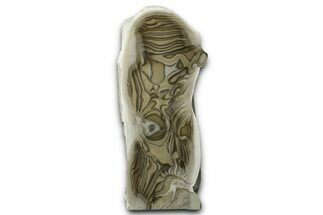 Freestanding Polished Striped Flint - Poland #377993