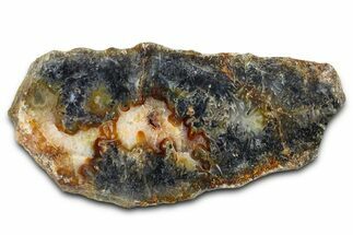 Polished Trent Agate With Stibnite & Realgar - Oregon #378035