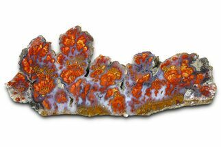 Wingate Pass Plume Agate Slab - California #378069
