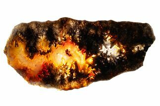 Polished Trent Agate With Stibnite & Realgar - Oregon #378035