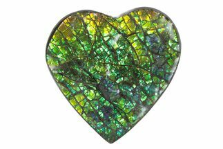Flashy Ammolite (Fossil Ammonite Shell) Heart - Greens & Yellows #378470
