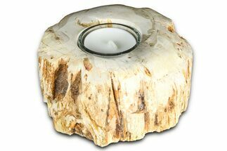 Polished Petrified Wood Candle Holder - Madagascar #378674
