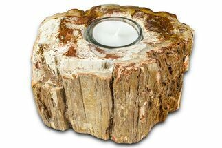 Polished Petrified Wood Candle Holder - Madagascar #378679