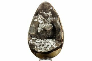 Septarian Dragon Egg Geode - Sparkly Black Crystals #378951